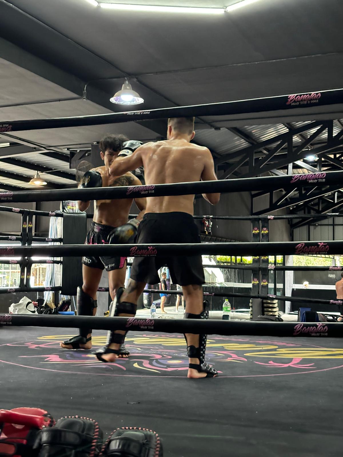 Training in the ring